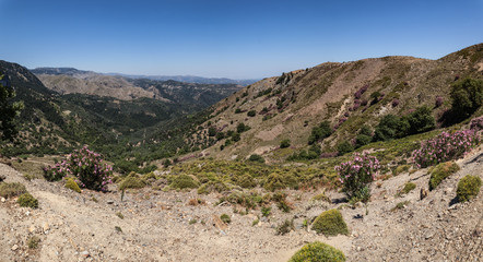 Zourva - Theriso (Crète)