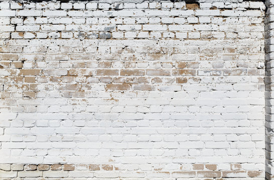 Fototapeta Old white brick wall texture. Brickwork background.