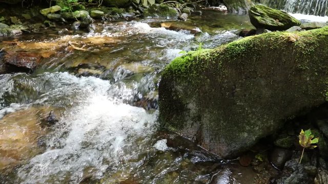 Sunny forest rocky stream with mossy rocks and waterfalls. Slider equipment used. Slow motion.