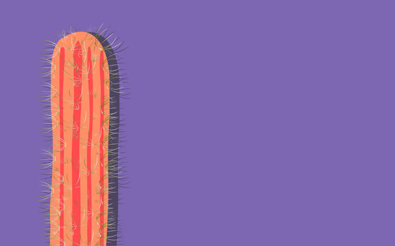 vector image cactus on bright background