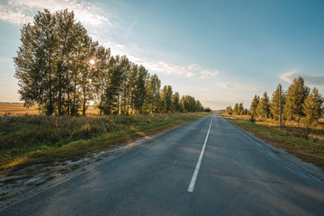 Long straight road highway going to the horizon