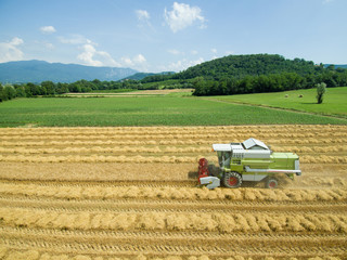 Wheat harvest - aerial photography of combine harvesting grain - agriculture