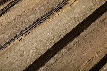 Veneer made from old oak, texture of wood