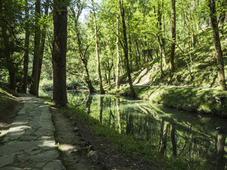 Fototapeta na wymiar Nacimiento del río Ebro en Fontibre, Cantabria, lugar natural en un bosque verde, verano de 2018