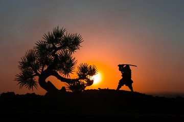 Fighter with a sword silhouette a sky ninja. Samurai on top of mountain with tree on sunset background.