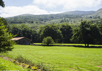 Paisaje verde de los campos de Cantabria con una casa, verano de 2018