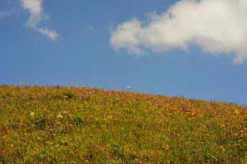 Almaty mountains summer landscape
