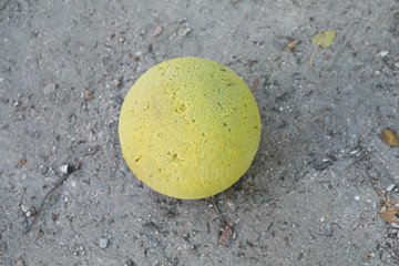 ballon