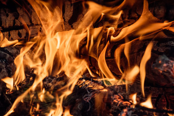 Fire and smoke. Glowing, burning wood in a fire, bonfires. Colorful flame and gray ash, charred...