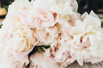Pink peony flowers bouquet on white background.
