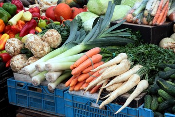 various vegetables for cooking meals