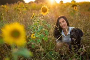 Papier Peint photo Lavable Tournesol Black dog with girl posing in sunflower field.