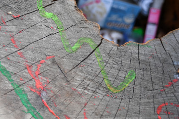 A tree stump with garbage in the middle.