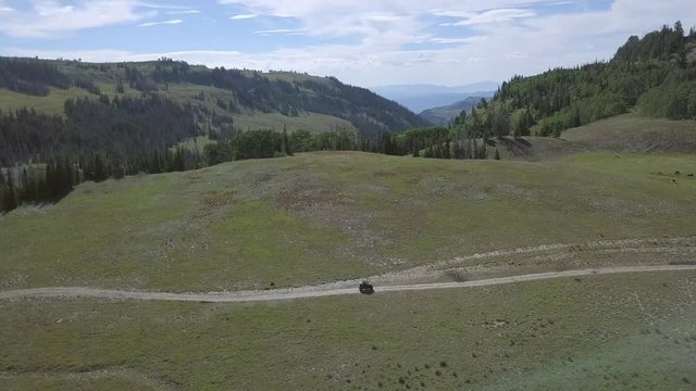 Flying over a beautiful mountain meadow