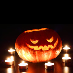 Halloween pumpkin on black