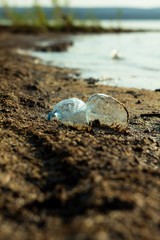 Pollution of nature pet litter bottles on the beach.