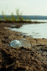 Fototapeta na wymiar Pollution of nature pet litter bottles on the beach.