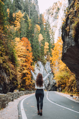 Happy girl with arms raised looking at a very beautiful landscape in autumn in the mountains.Leaves are multicolored trees.