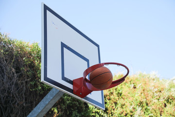 basket