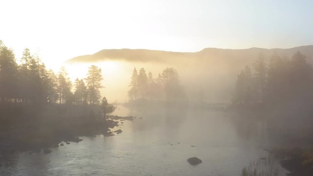 Misty morning in Norway