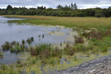 Cameron Reservoir near St Andrews, Fife, Scotland, September 2018