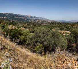 Vatoudiaris (Crète - Grèce)