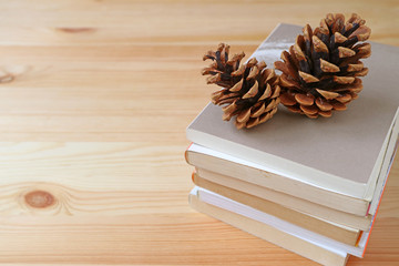 Naklejka premium Pair of natural dry pine cones on top of book stack isolated on light brown wooden table with free space for text and design 