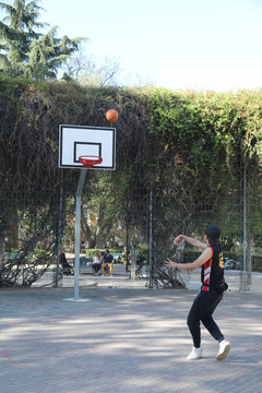 basket