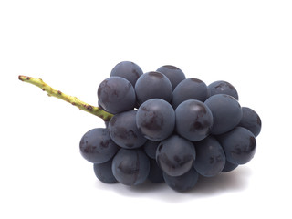 ブドウ　フジミノリ