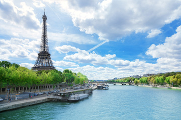 Fototapeta na wymiar View of Paris with Eiffel tower