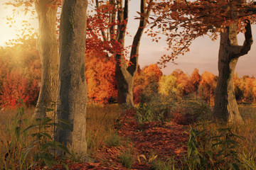 3d rendering of scenic forest pathway in the autumn season and evening sunlight