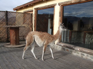 Argentina, South America