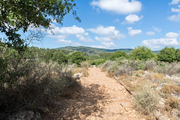 Amud Stream Nature Reserve in Northern Israel