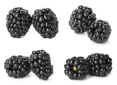 Set with fresh tasty blackberries on white background