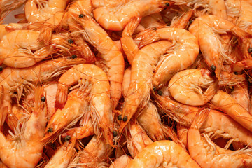 A large amount of shrimp. Background.