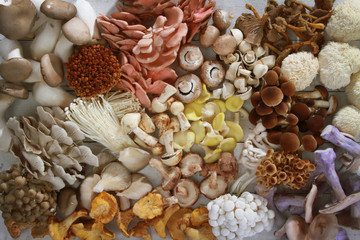 fresh uncooked exotic mushroom varieties