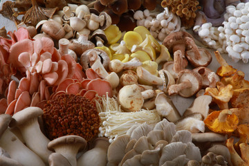 fresh uncooked exotic mushroom varieties