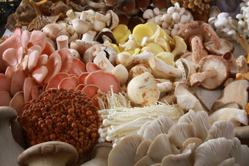 fresh uncooked exotic mushroom varieties