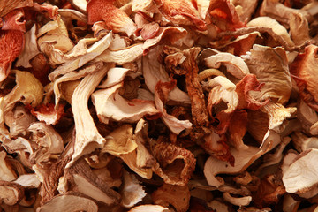 dried mixed wild exotic mushrooms