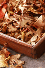 dried mixed wild exotic mushrooms