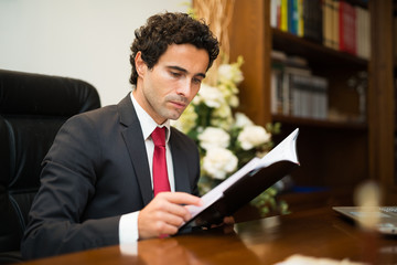 Businessman reading his agenda - obrazy, fototapety, plakaty