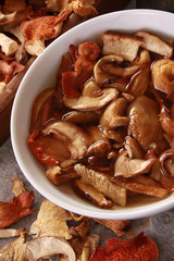 dried mixed wild exotic mushrooms