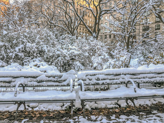 Naklejka na ściany i meble Central Park, New York City