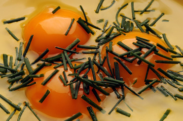 Frittata  Ֆրիտատա     フリッタータ           פריטטה                        ft81092359 Erba cipollina Allium schoenoprasum Chives 