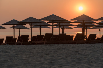Sun beds and umbrellas on the beach