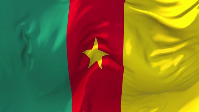 208. Cameroon Flag Waving in Wind Slow Motion Animation . 4K Realistic Fabric Texture Flag Smooth Blowing on a windy day Continuous Seamless Loop Background.