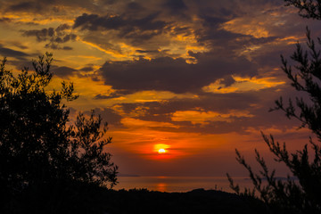 Beautiful sunset with tree silhouette at Corfu, Greece
