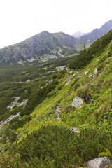 View on mountain Peaks and alpine Landscape of the High Tatras, Slovakia