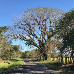 Obraz premium Caminos 