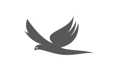 Flying bird logo design